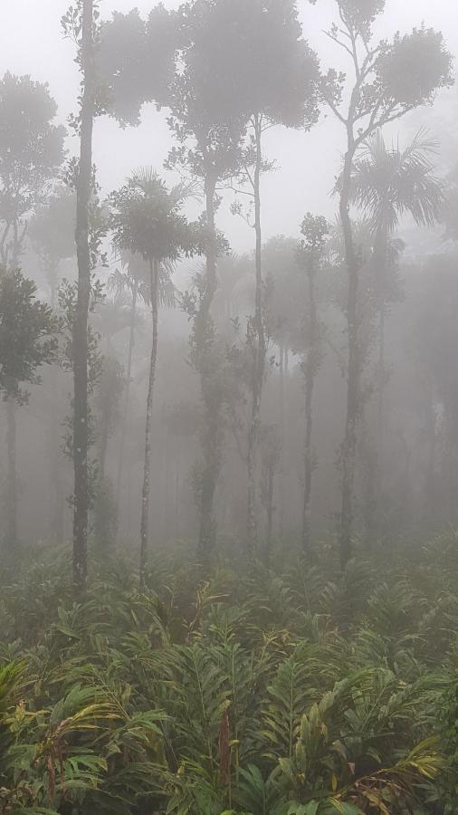 Tree Blanche Hotel Munnar Buitenkant foto